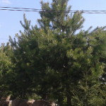 20160521_111049