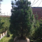 20160801_142540